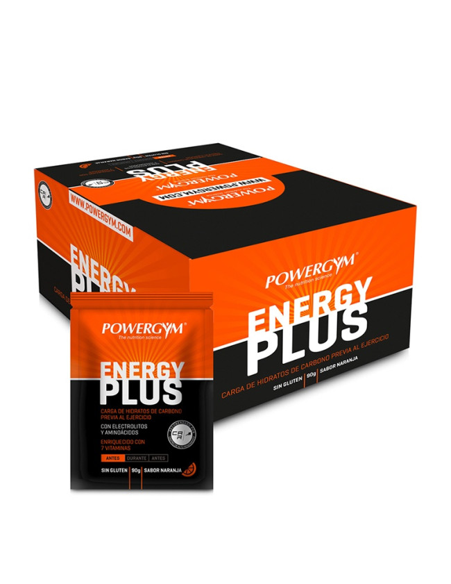 ENERGYPLUS SOBRES