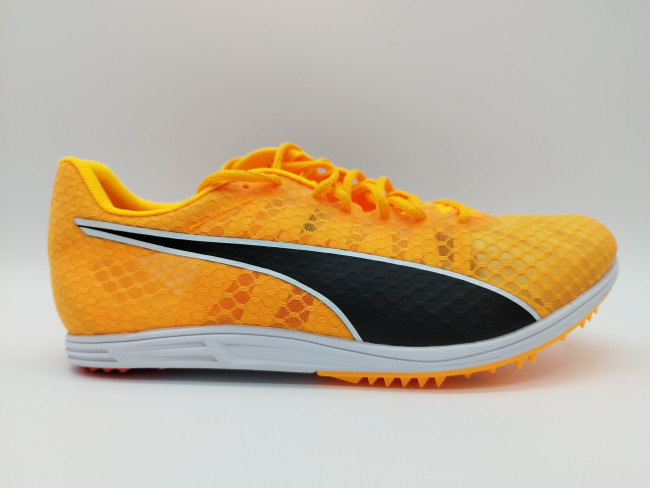 EVOSPEED DISTANCE 11