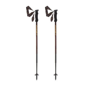 NEPAL LITE TRK POLE