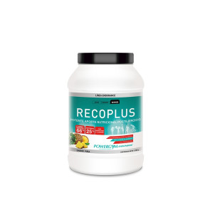 RECOPLUS 1200 PIÑA