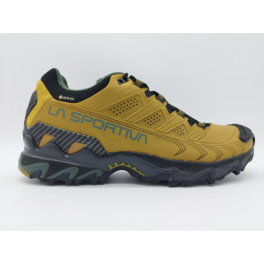 ULTRA RAPTOR II LEATHER GTX