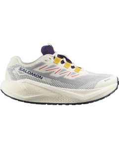 AERO BLAZE 3 GRVL GTX W