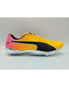 EVOSPEED ELECTRIC 13