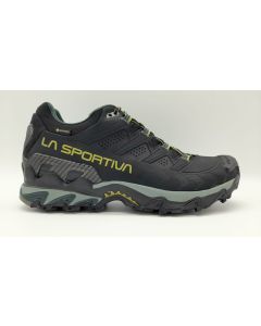 ULTRA RAPTOE II LEATHER GTX