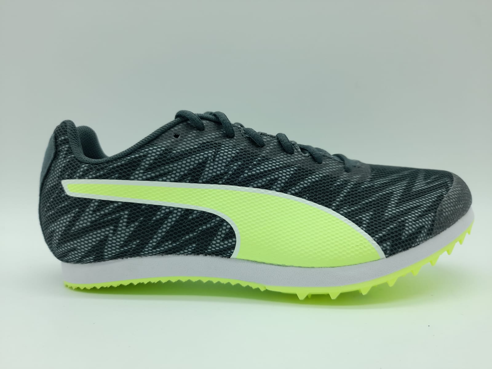 PUMA EVOSPEED STAR 7 - RiosRunning